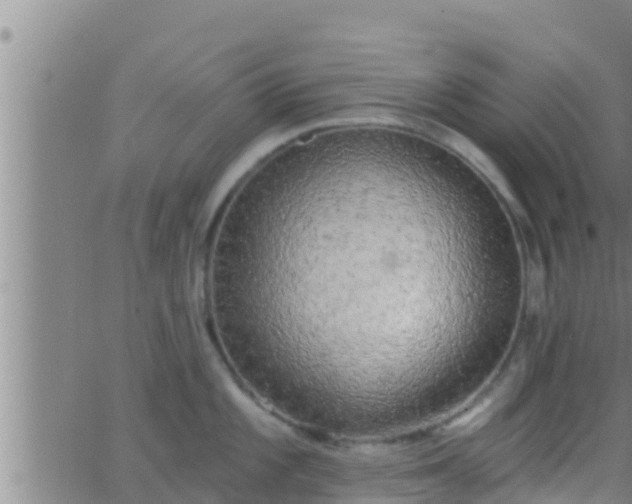 X0000063531101200601271855