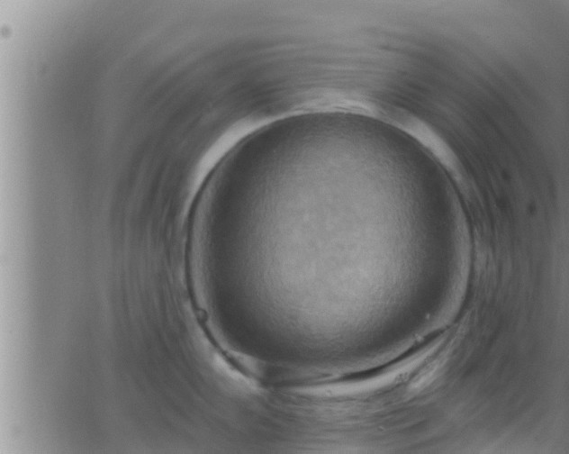 X0000063531102200601271855