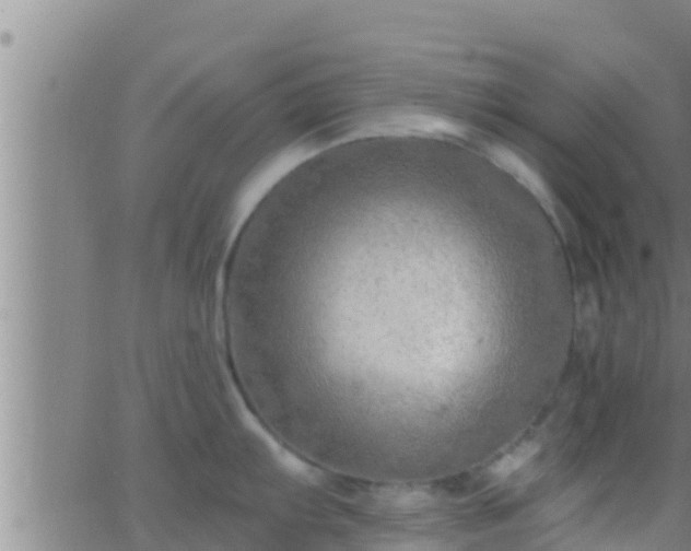 X0000063531103200601271855