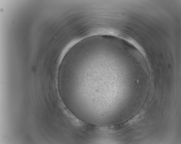 X0000063531104200601271855