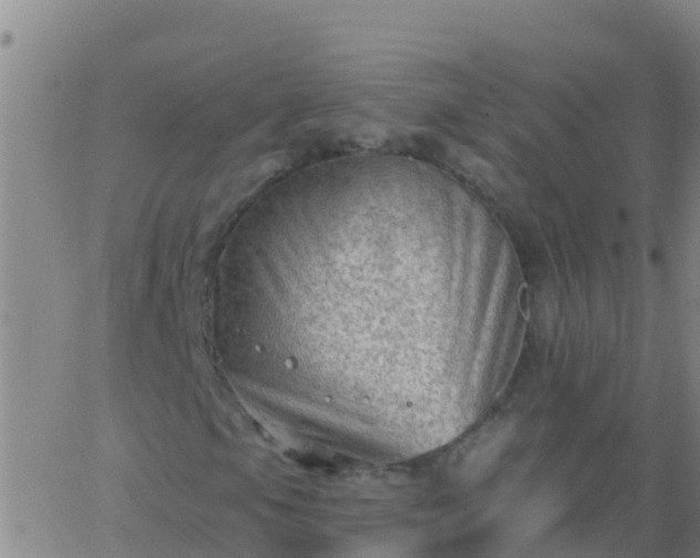 X0000063531105200601271854