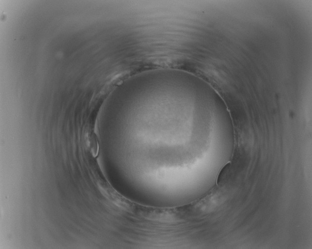 X0000063531106200601271854