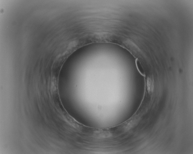 X0000063531107200601271854