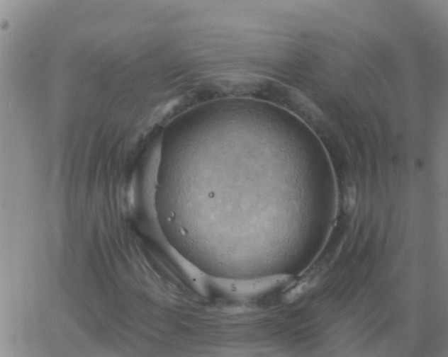 X0000063531108200601271854