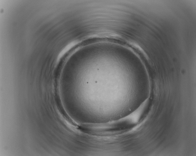 X0000063531114200601271854