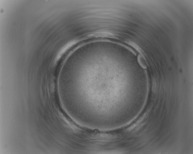 X0000063531115200601271854