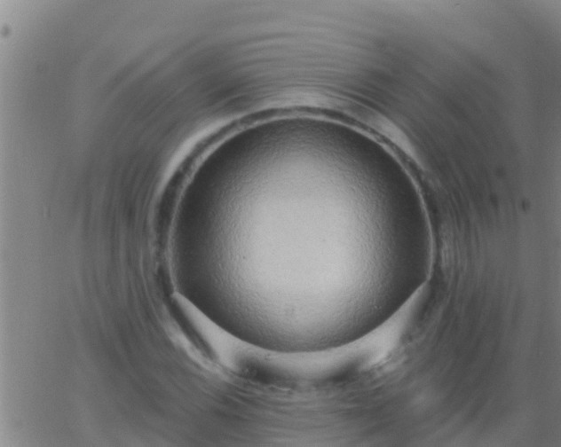 X0000063531116200601271854