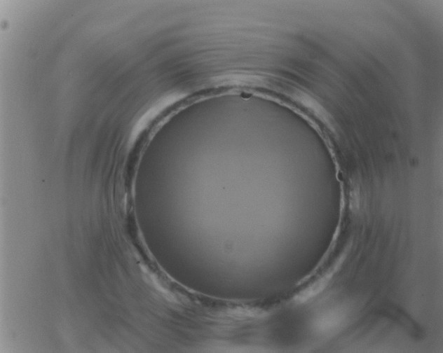 X0000063531117200601271854