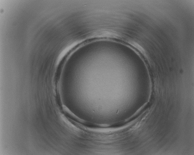 X0000063531120200601271854