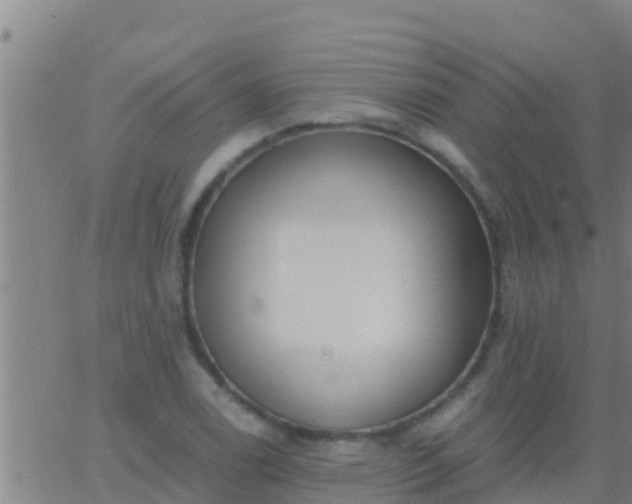 X0000063531122200601271854