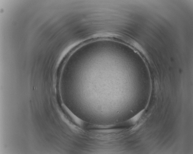 X0000063531124200601271854