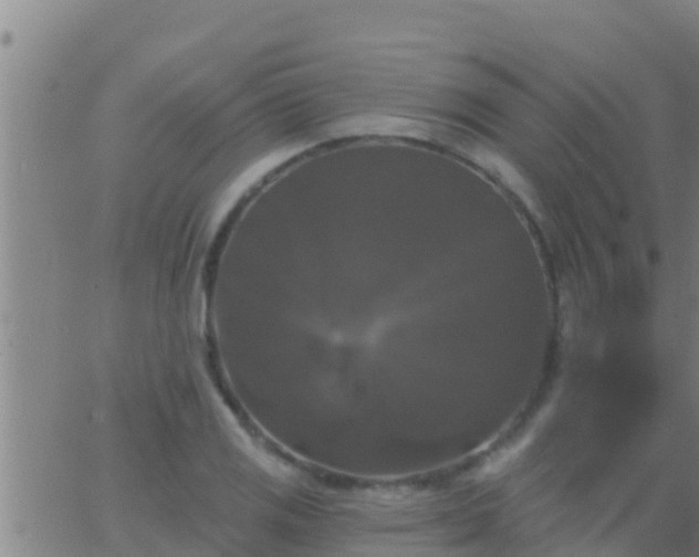 X0000063531125200601271854