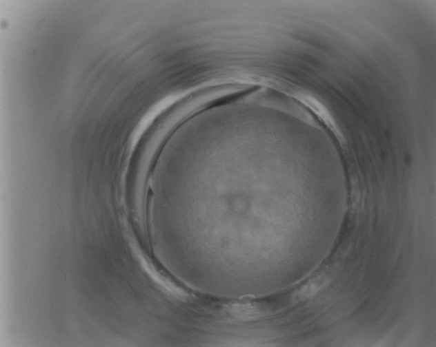 X0000063531128200601271854