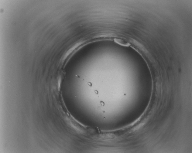 X0000063531129200601271854