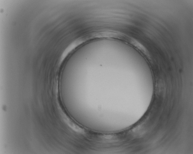 X0000063531130200601271854