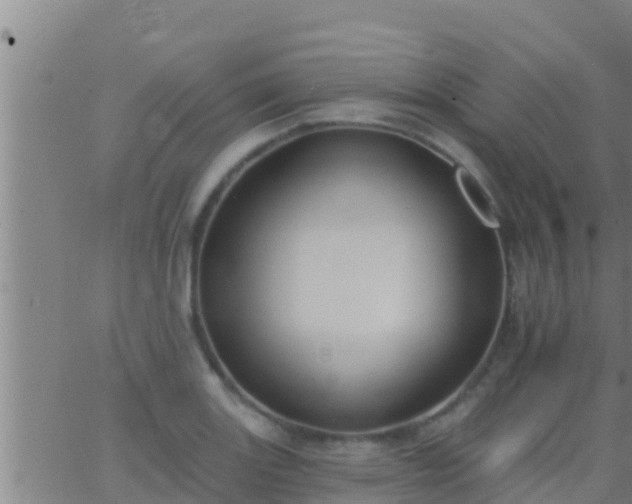 X0000063531131200601271854