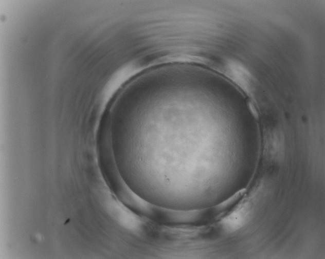 X0000063531132200601271854