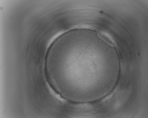 X0000063531133200601271854