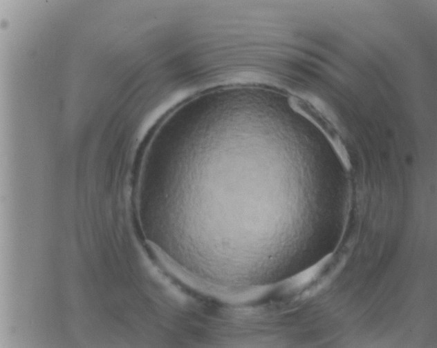 X0000063531134200601271854