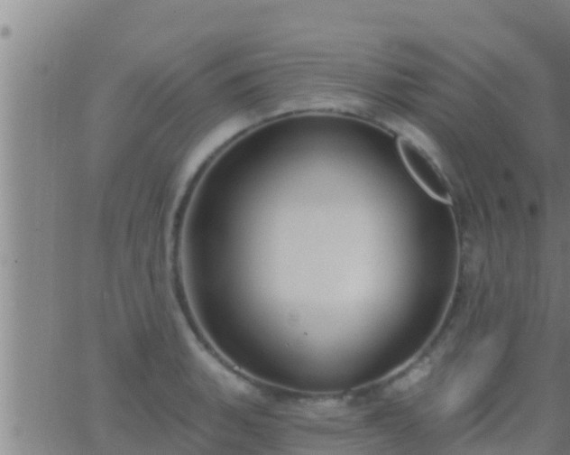 X0000063531135200601271854