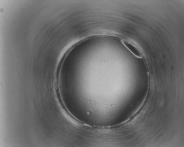 X0000063531136200601271854