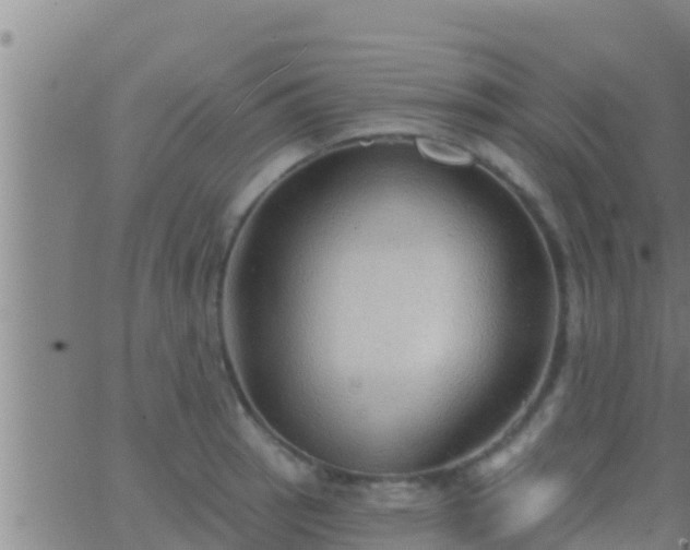 X0000063531137200601271854