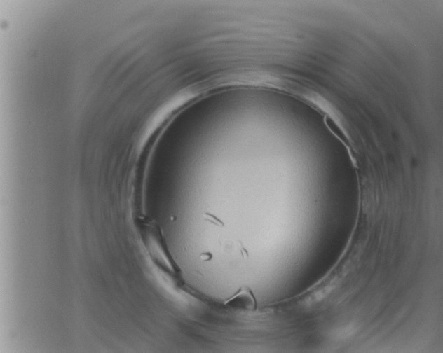 X0000063531139200601271854