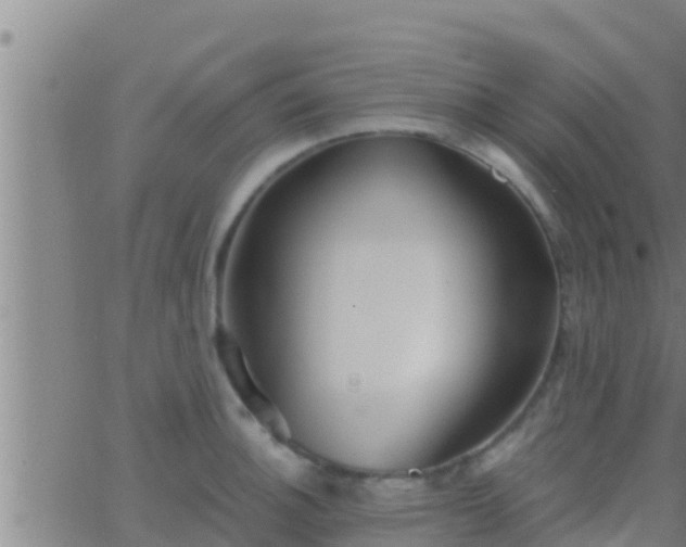 X0000063531140200601271854