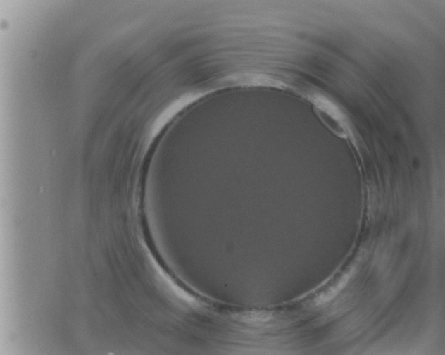 X0000063531141200601271854