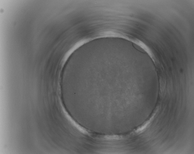 X0000063531142200601271854