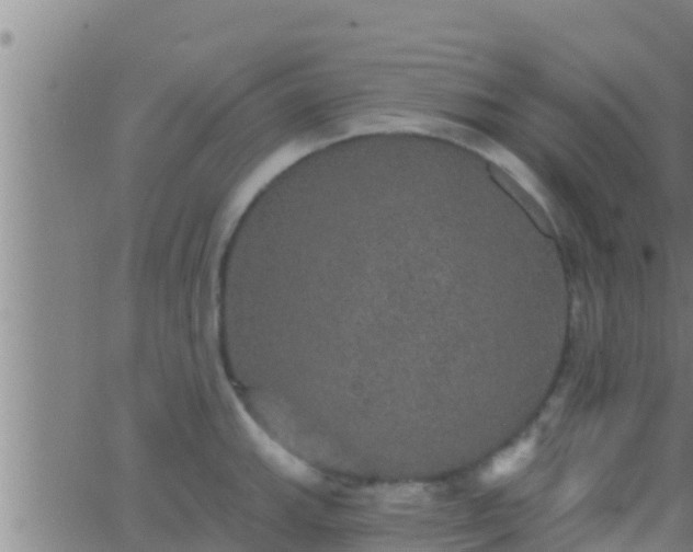 X0000063531143200601271854