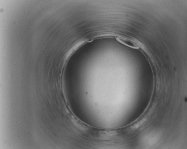 X0000063531145200601271854