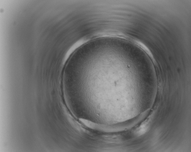 X0000063531146200601271854