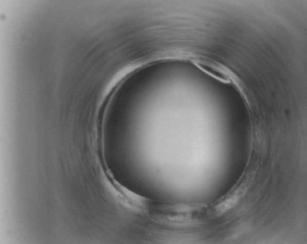 X0000063531147200601271854