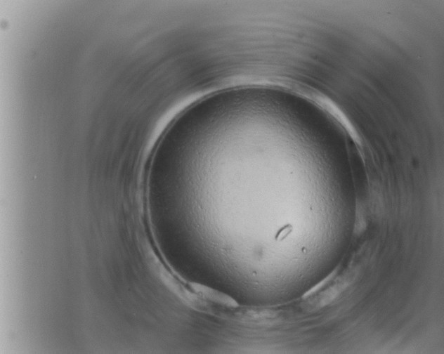 X0000063531148200601271854