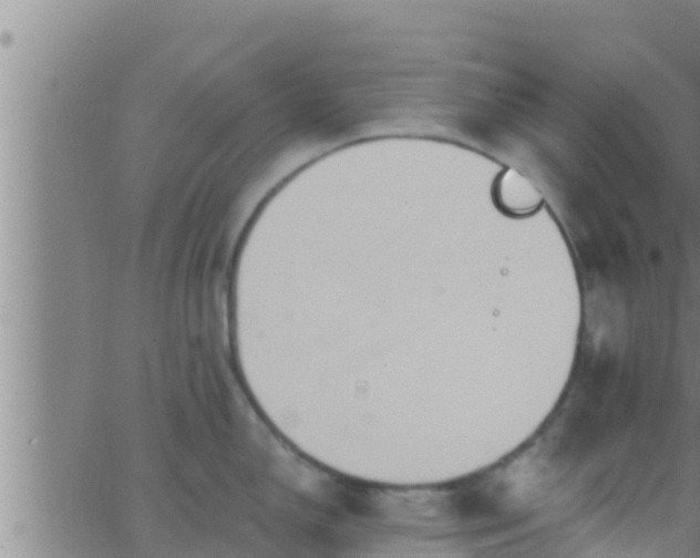 X0000063531150200601271855