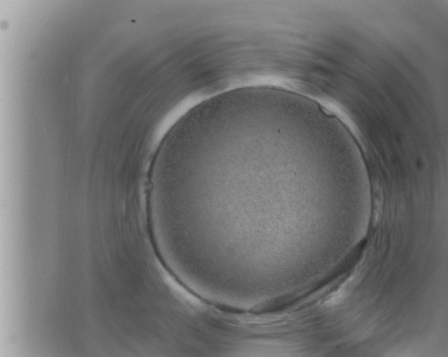 X0000063531151200601271855