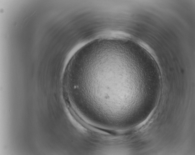 X0000063531152200601271855