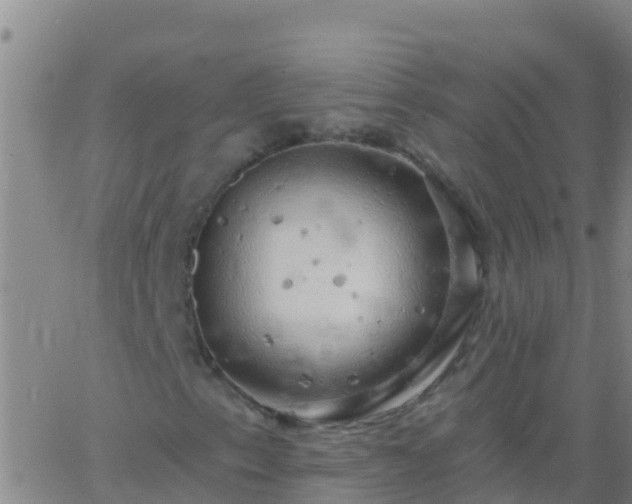 X0000063531153200601271854