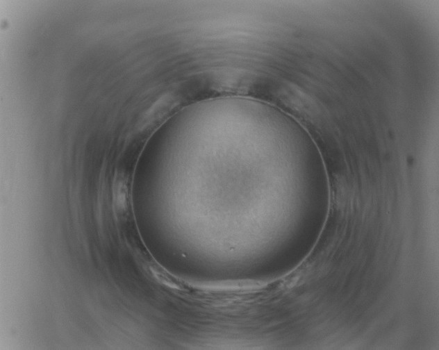 X0000063531154200601271854