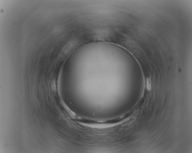 X0000063531155200601271854