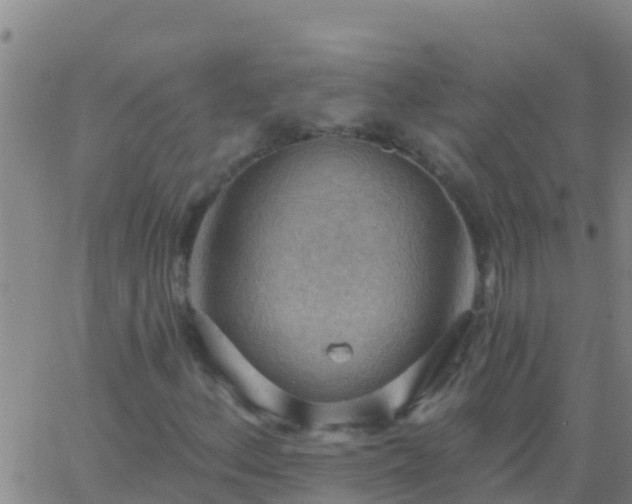 X0000063531156200601271854