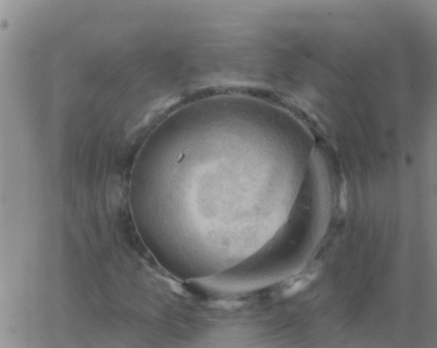 X0000063531157200601271854