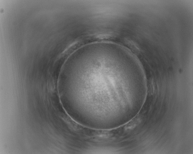 X0000063531158200601271854