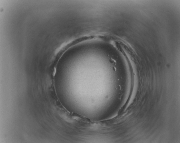 X0000063531160200601271854