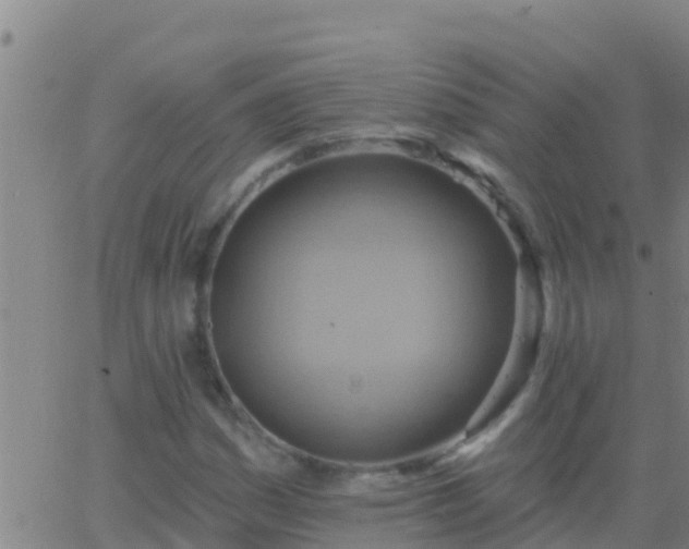 X0000063531161200601271854