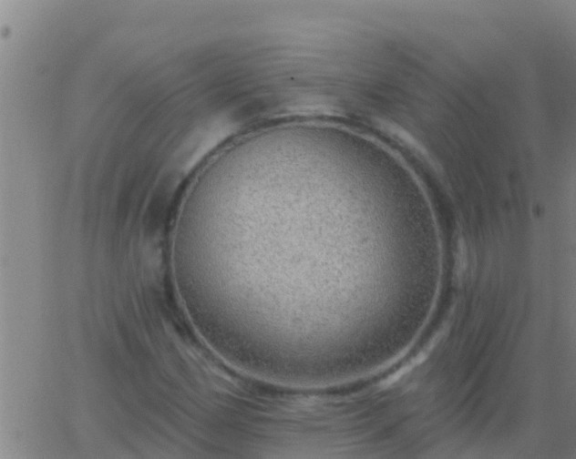 X0000063531162200601271854