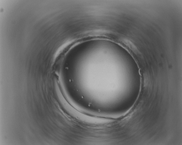 X0000063531164200601271854