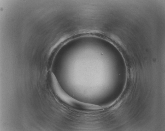 X0000063531165200601271854