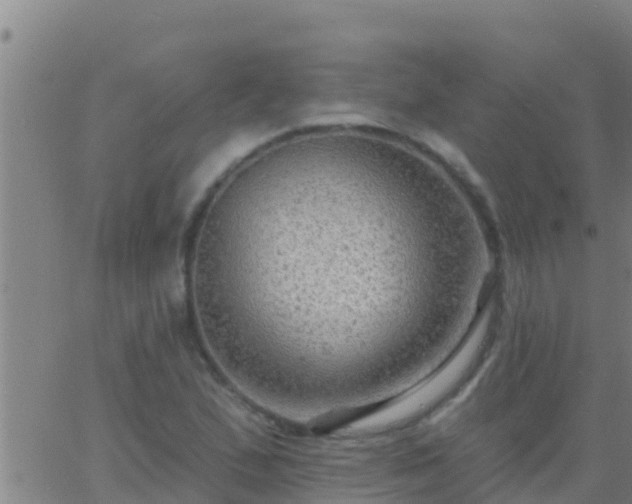 X0000063531167200601271854